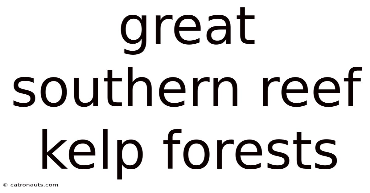 Great Southern Reef Kelp Forests