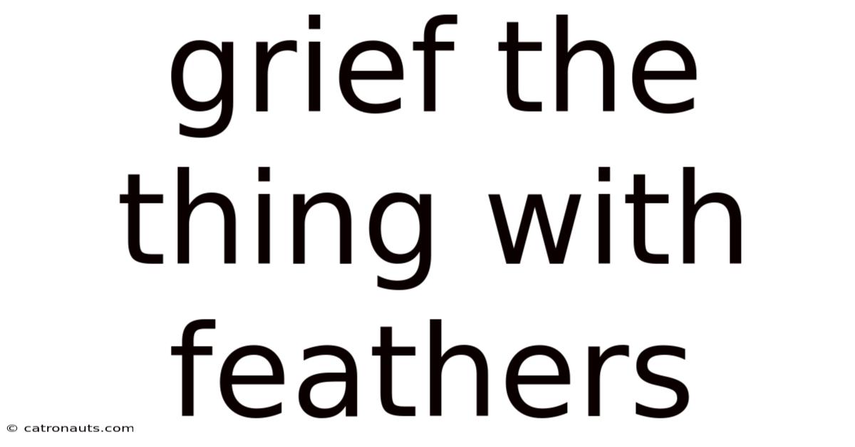 Grief The Thing With Feathers