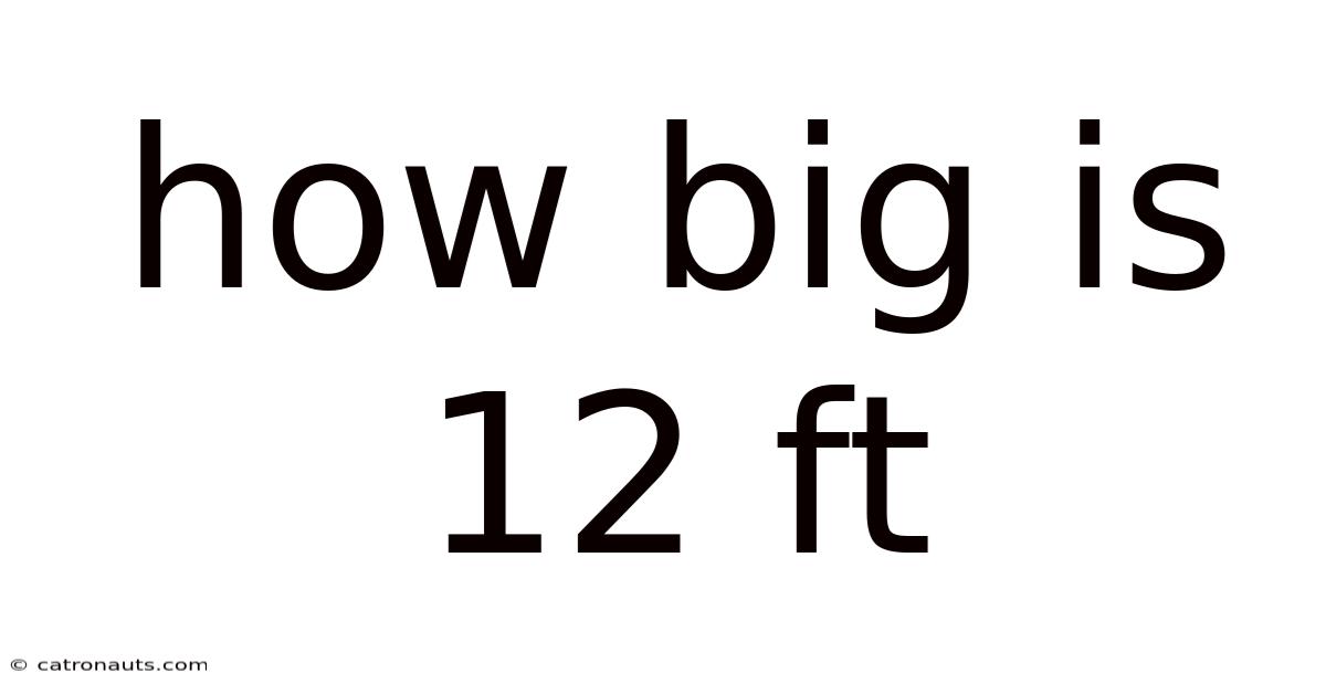 How Big Is 12 Ft