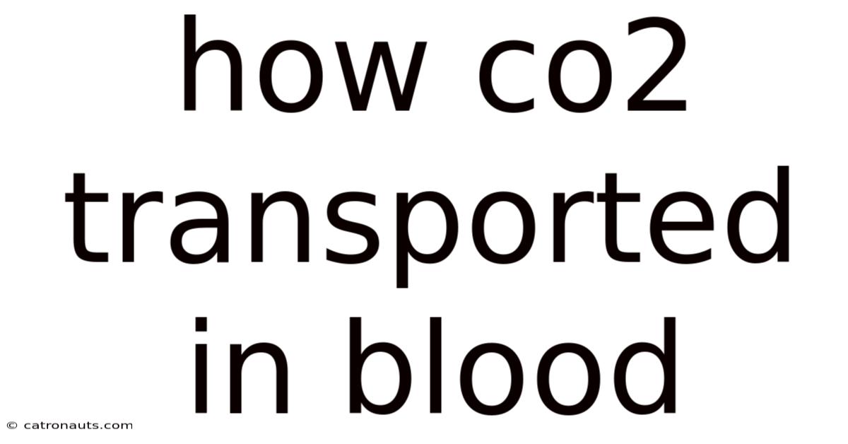 How Co2 Transported In Blood