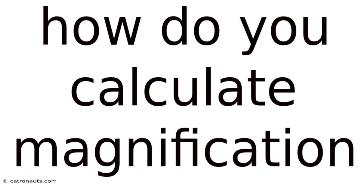 How Do You Calculate Magnification