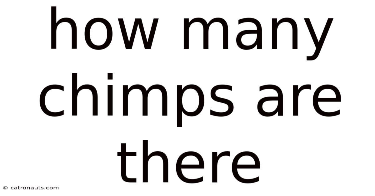 How Many Chimps Are There