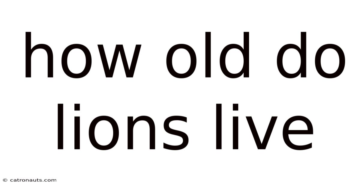 How Old Do Lions Live
