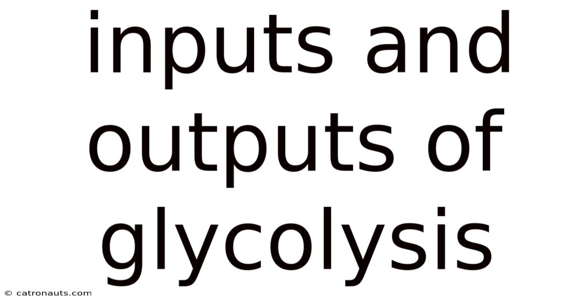 Inputs And Outputs Of Glycolysis