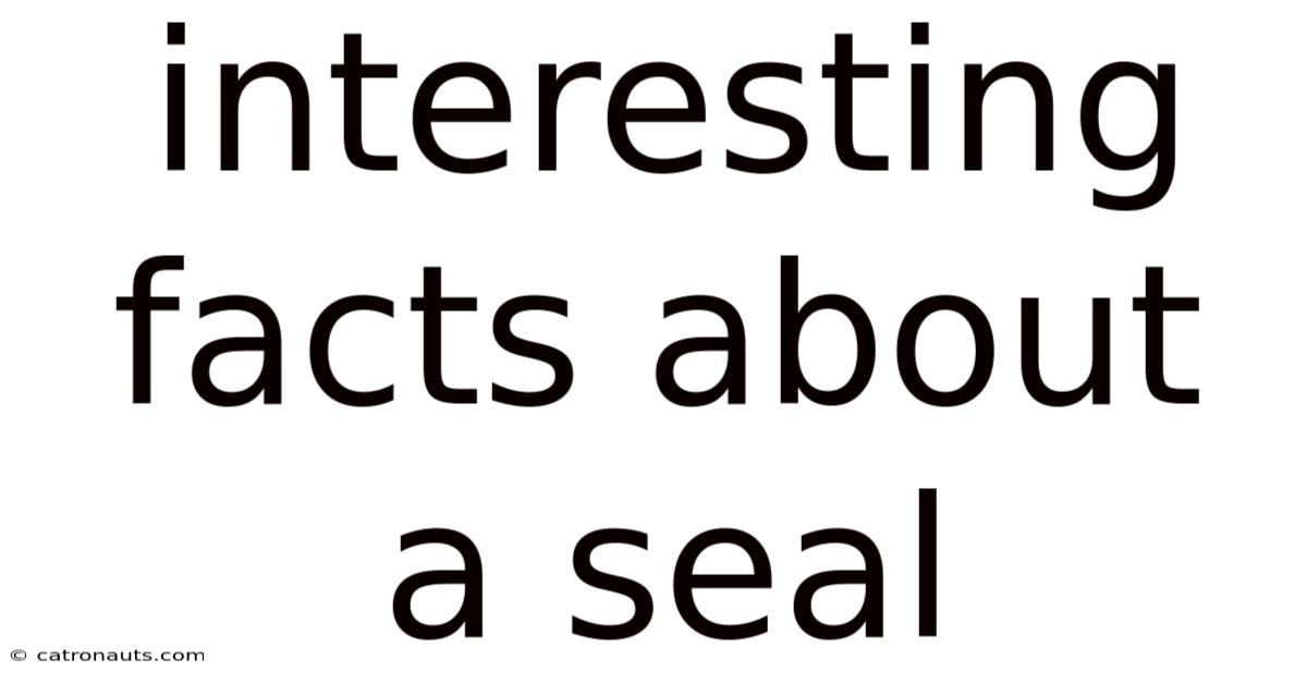 Interesting Facts About A Seal