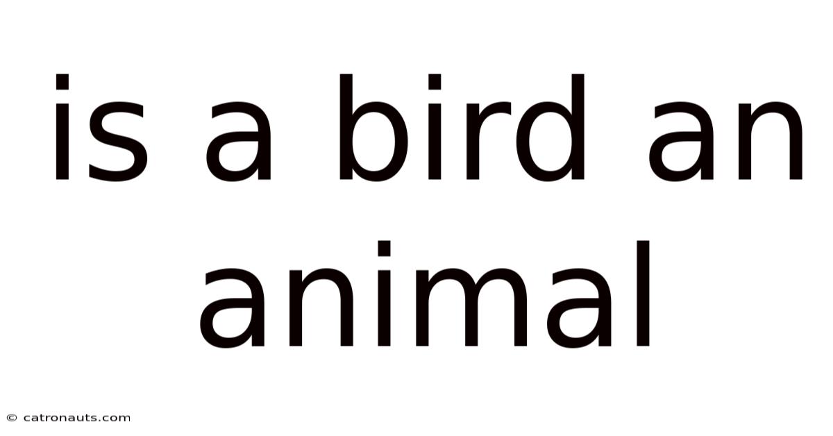 Is A Bird An Animal