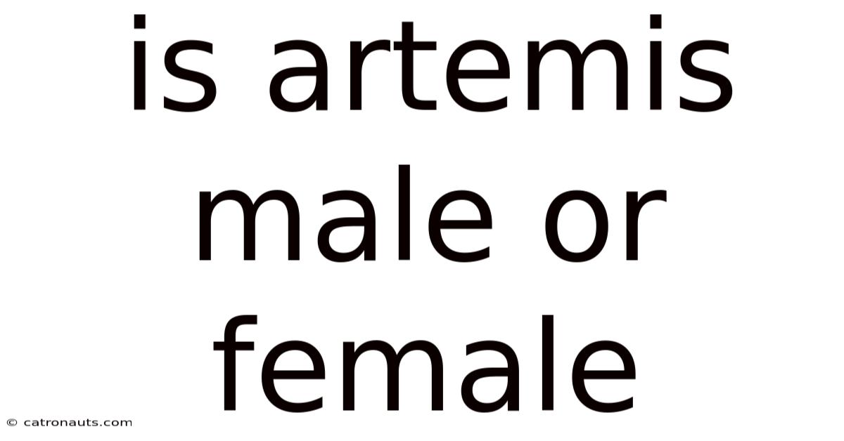 Is Artemis Male Or Female