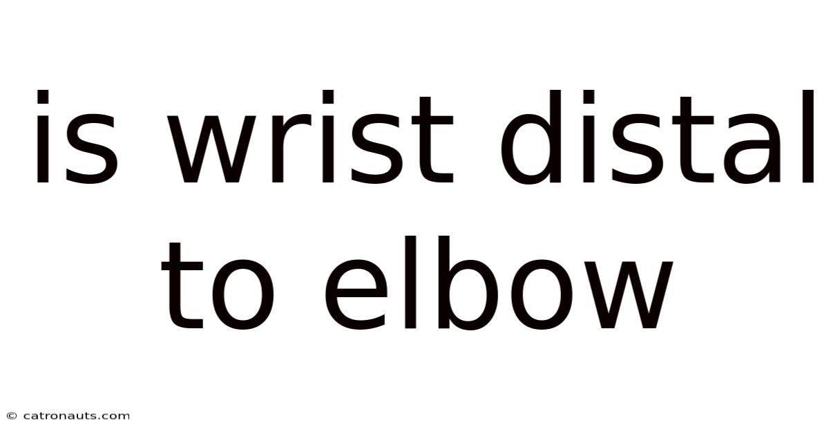 Is Wrist Distal To Elbow