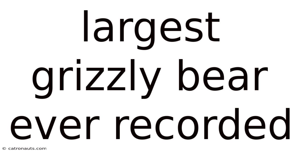 Largest Grizzly Bear Ever Recorded