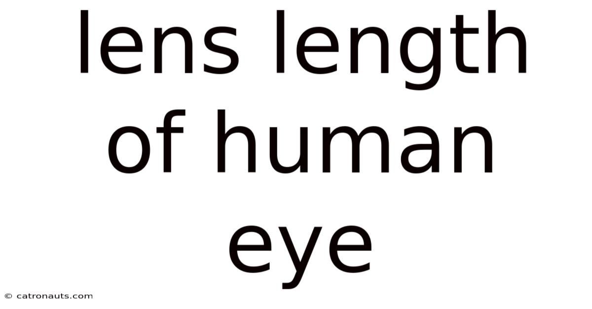Lens Length Of Human Eye