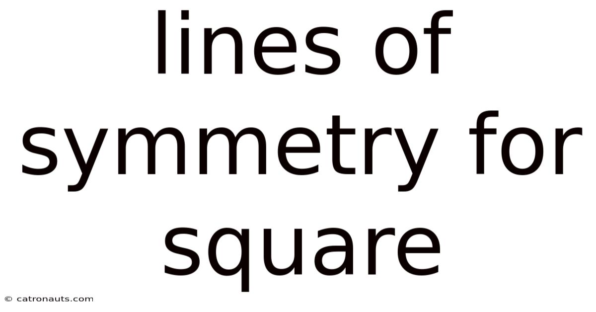 Lines Of Symmetry For Square
