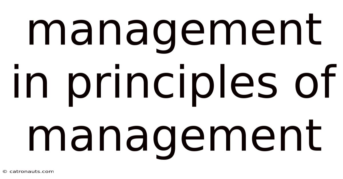 Management In Principles Of Management