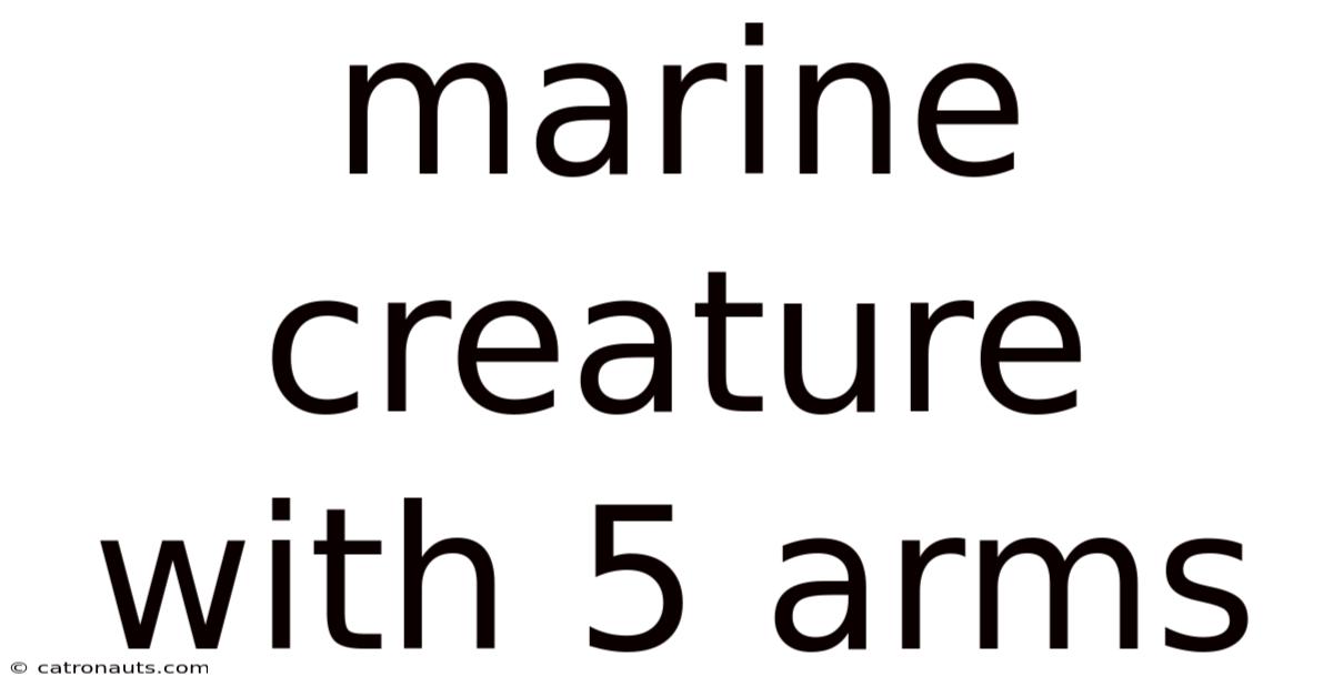 Marine Creature With 5 Arms