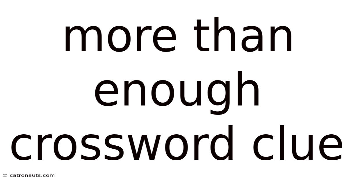 More Than Enough Crossword Clue