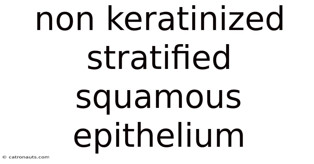 Non Keratinized Stratified Squamous Epithelium
