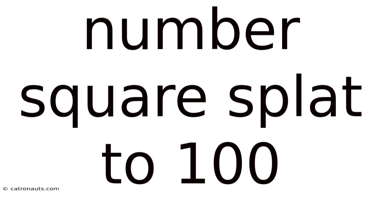 Number Square Splat To 100