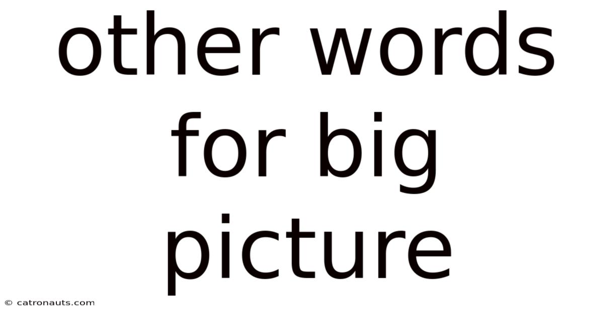 Other Words For Big Picture