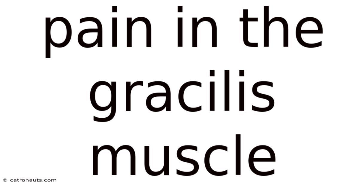 Pain In The Gracilis Muscle