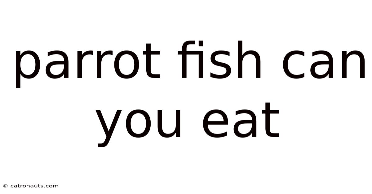 Parrot Fish Can You Eat
