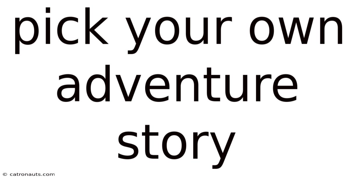 Pick Your Own Adventure Story