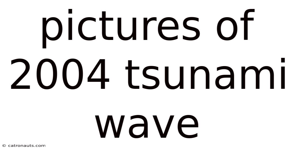 Pictures Of 2004 Tsunami Wave