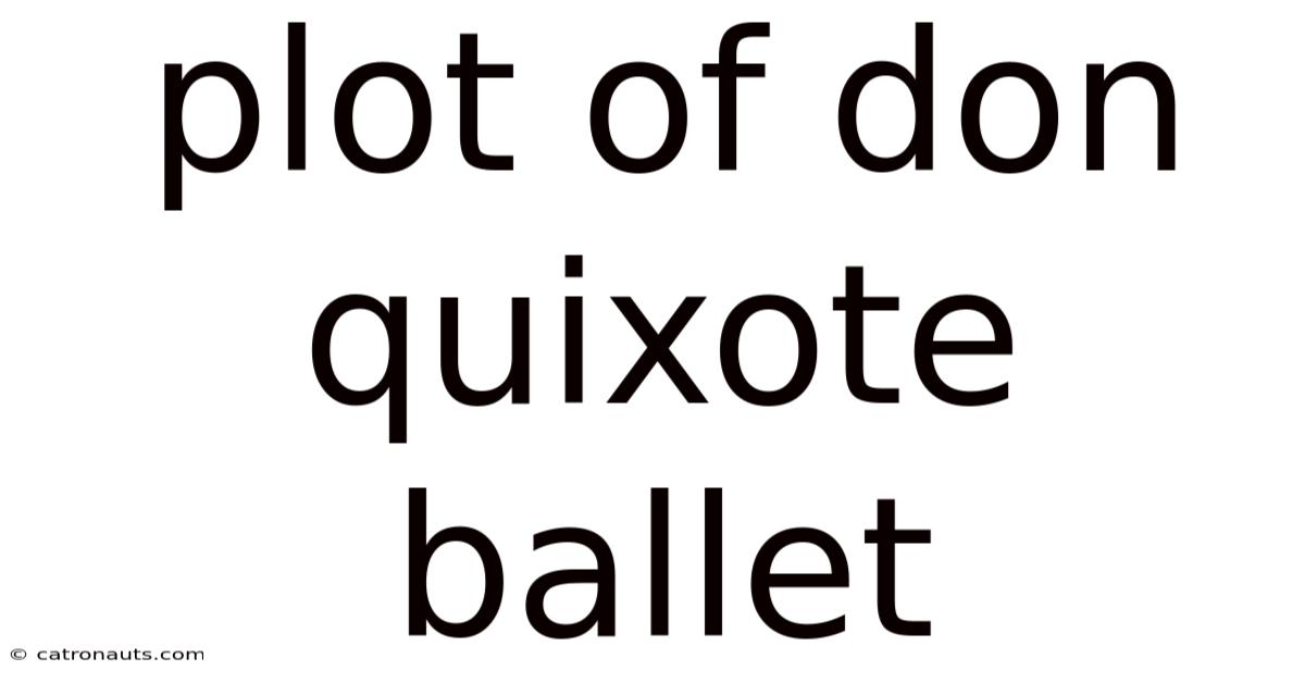 Plot Of Don Quixote Ballet