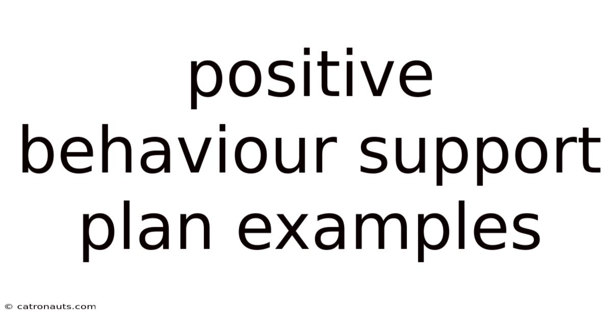 Positive Behaviour Support Plan Examples