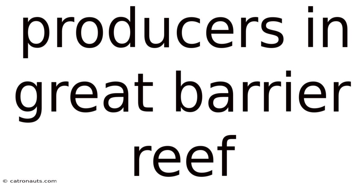 Producers In Great Barrier Reef