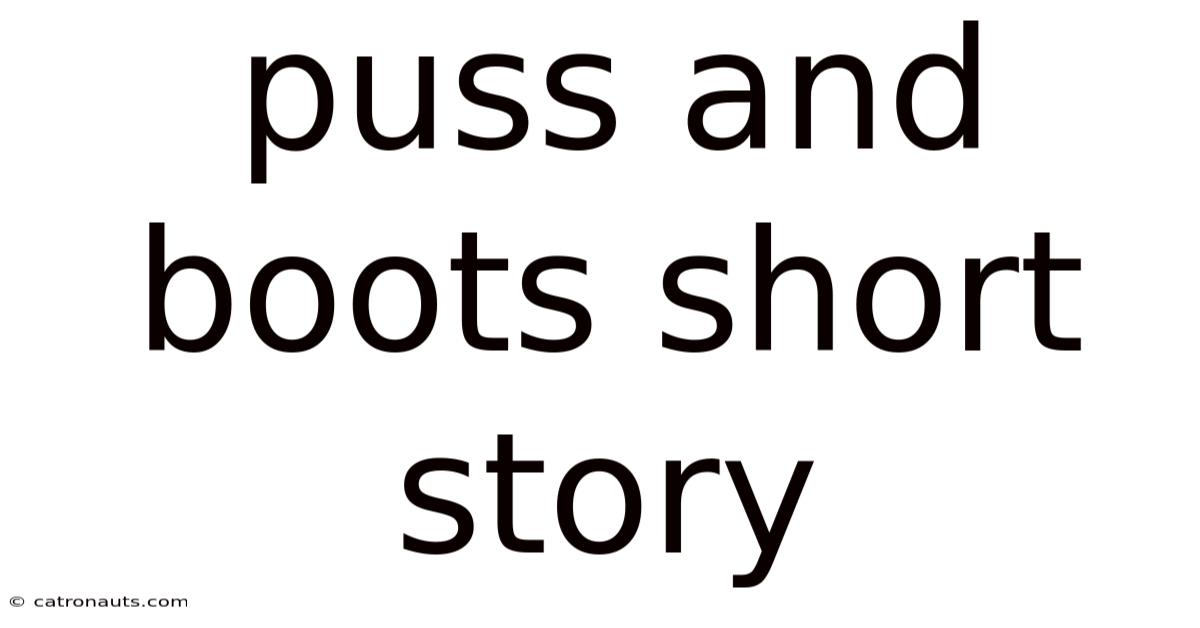 Puss And Boots Short Story