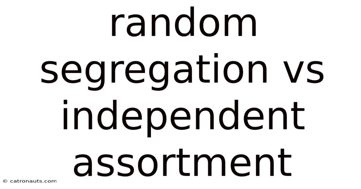 Random Segregation Vs Independent Assortment
