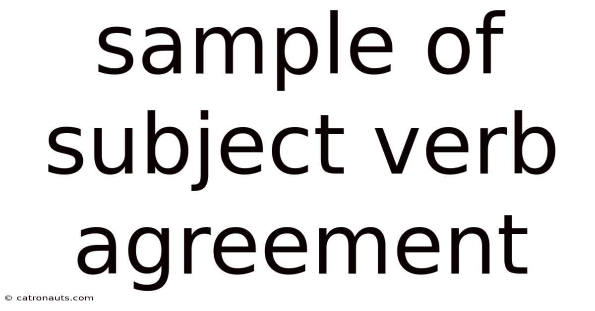 Sample Of Subject Verb Agreement