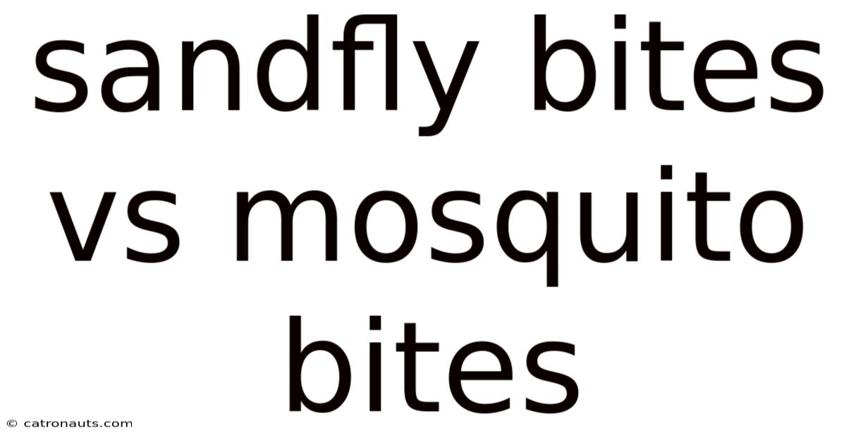Sandfly Bites Vs Mosquito Bites