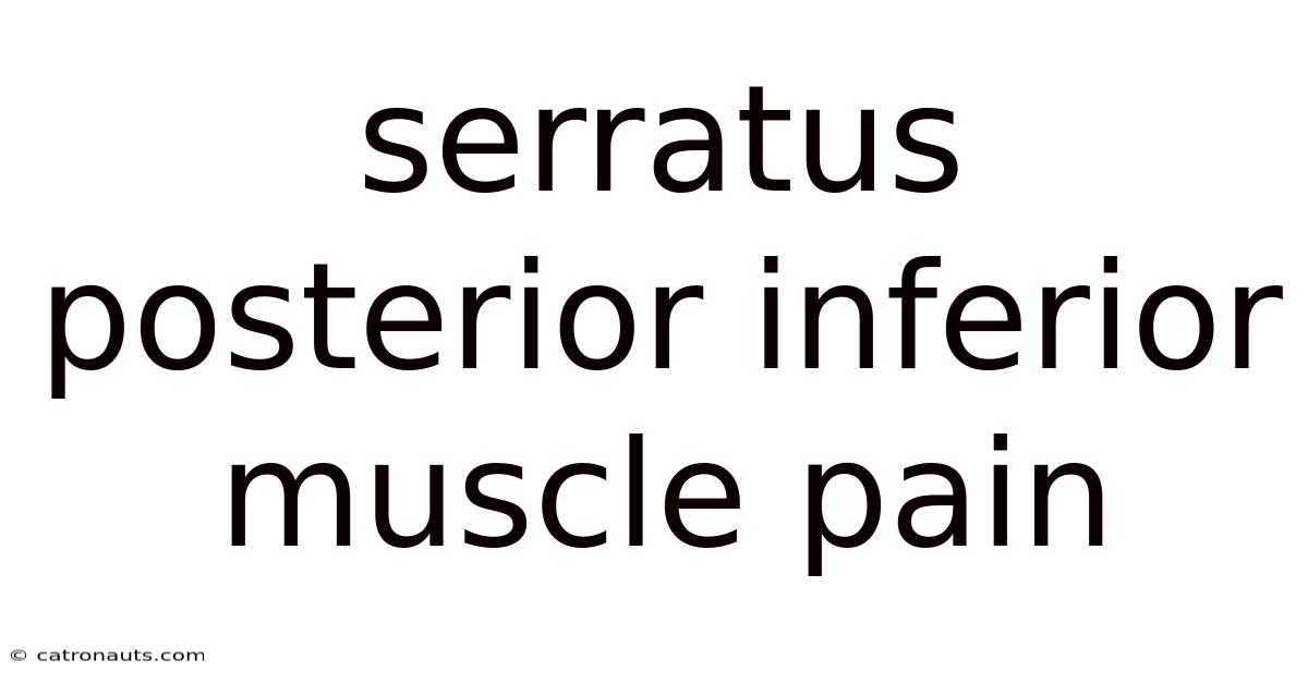 Serratus Posterior Inferior Muscle Pain
