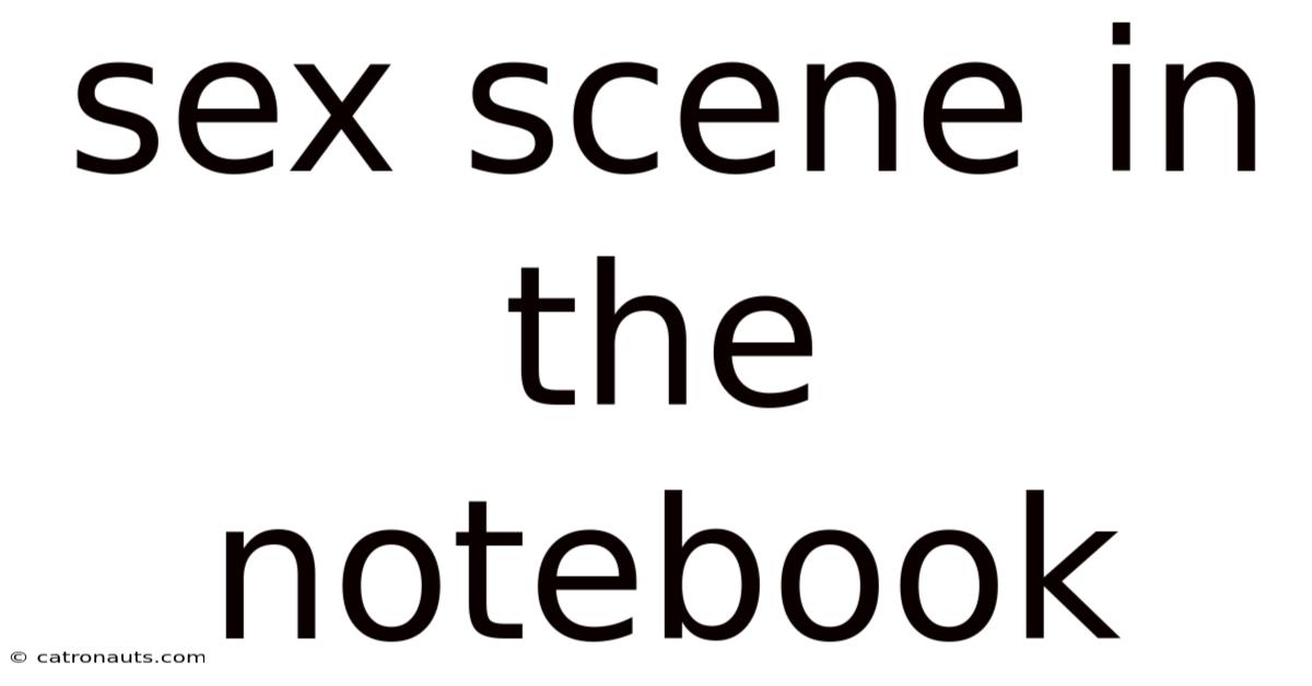 Sex Scene In The Notebook