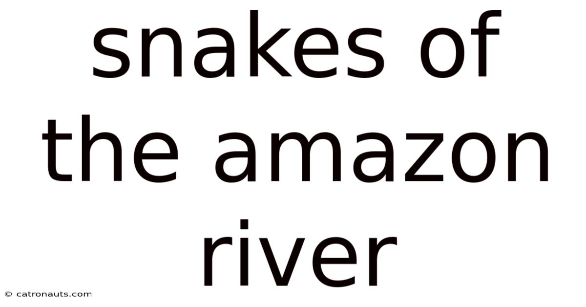 Snakes Of The Amazon River