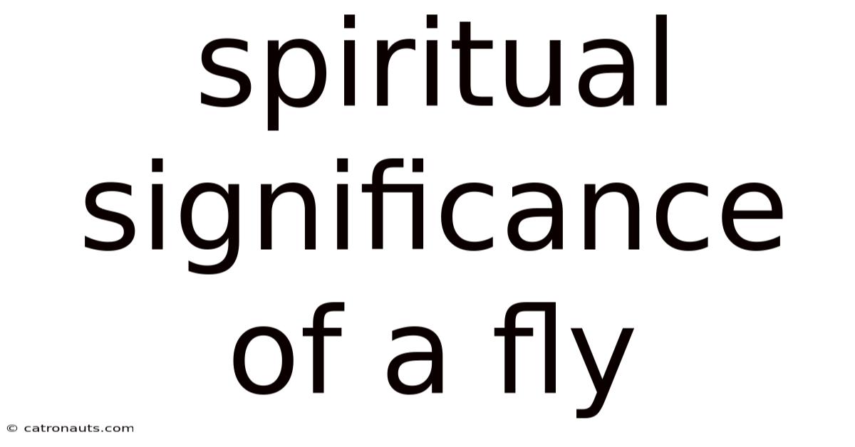 Spiritual Significance Of A Fly