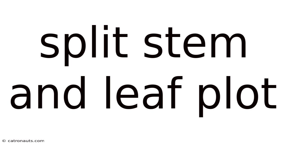 Split Stem And Leaf Plot