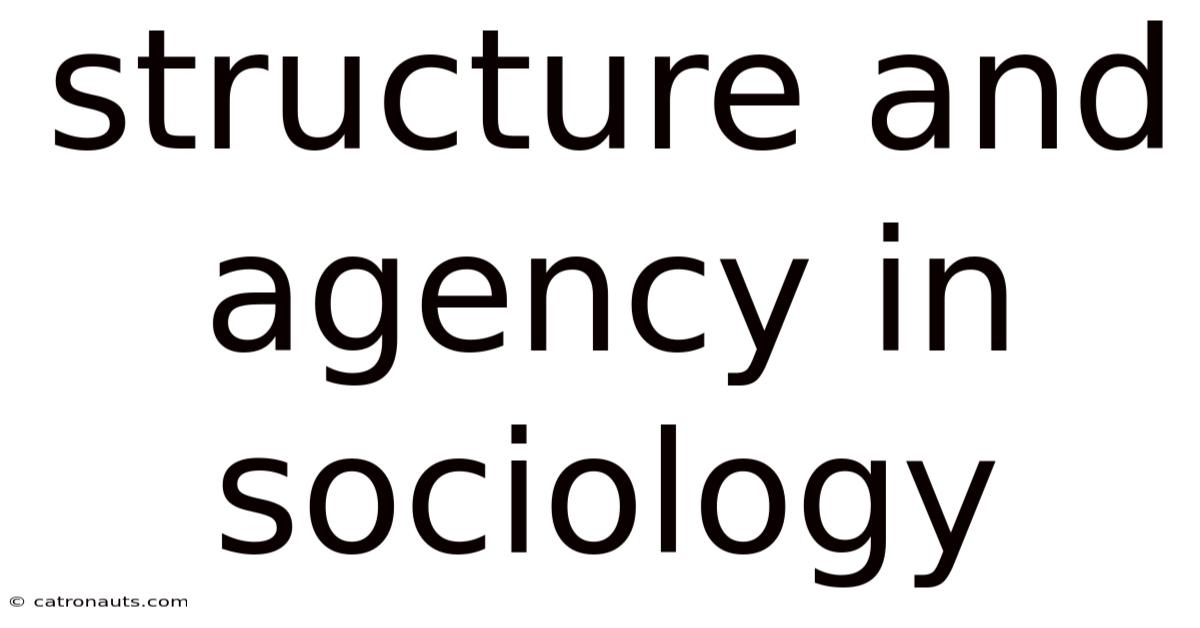 Structure And Agency In Sociology