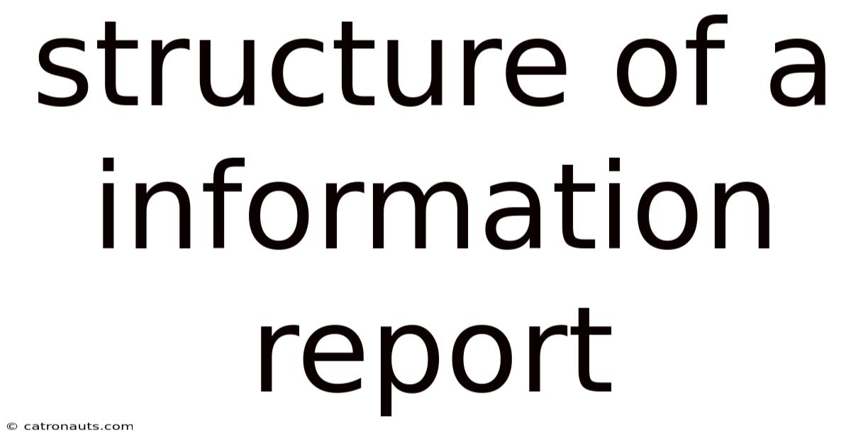 Structure Of A Information Report