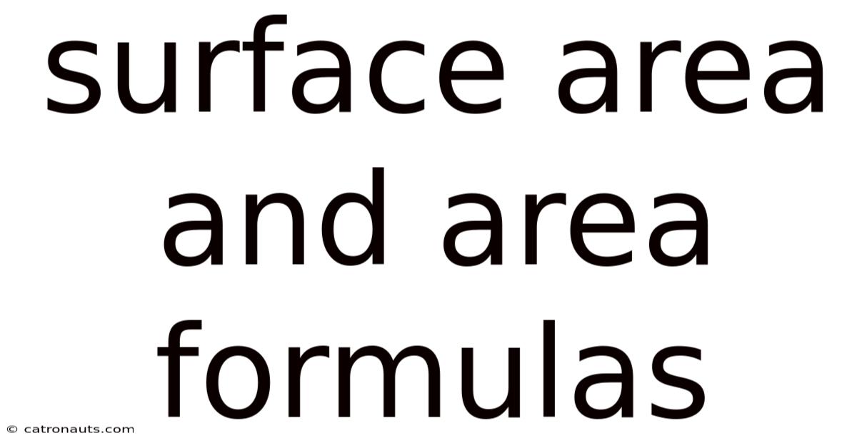 Surface Area And Area Formulas