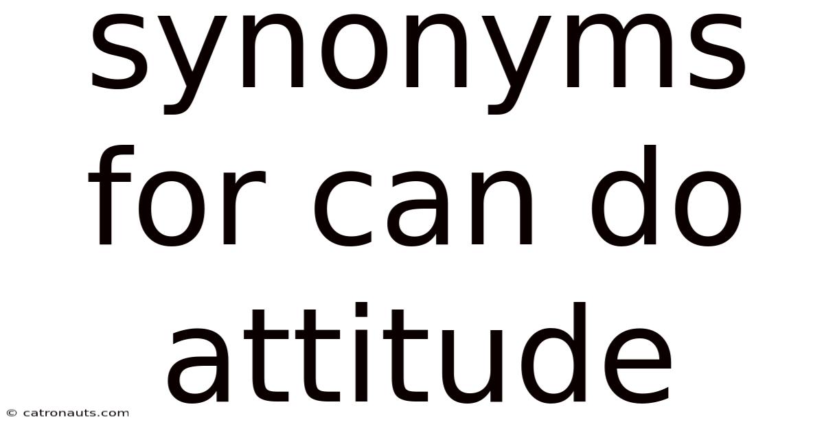 Synonyms For Can Do Attitude