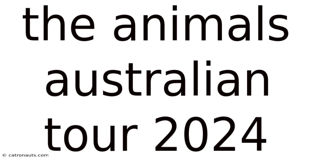 The Animals Australian Tour 2024