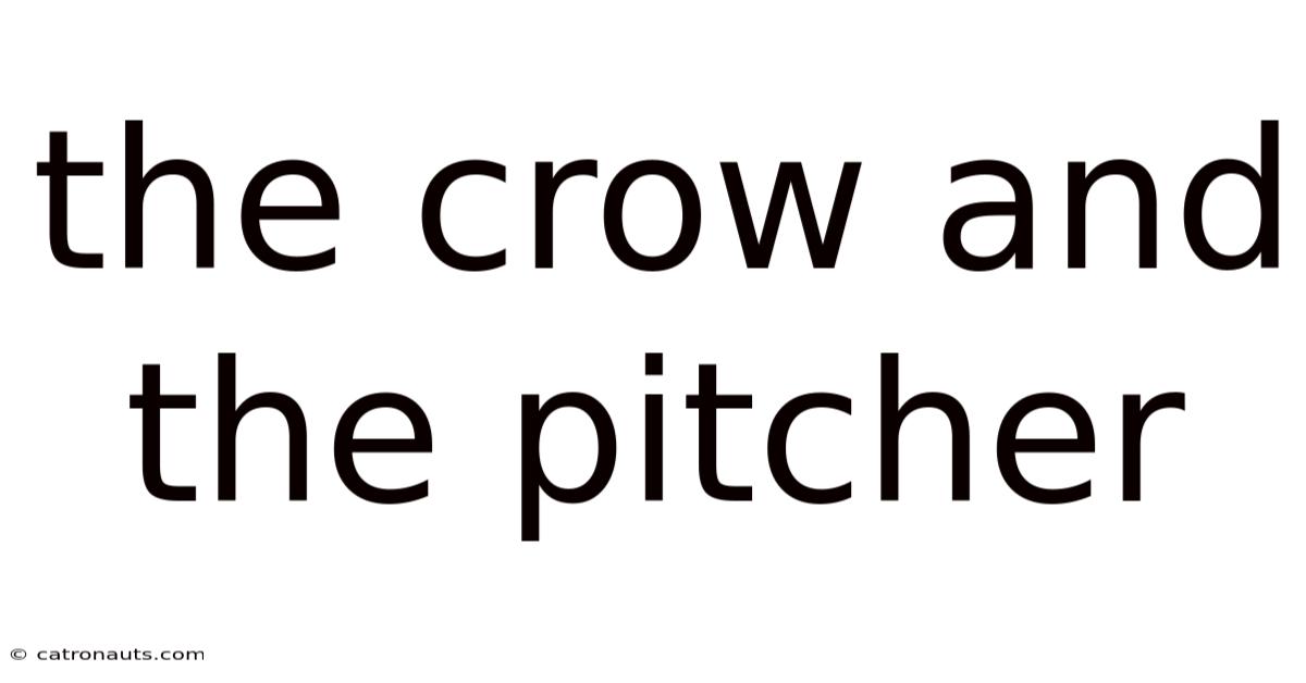 The Crow And The Pitcher