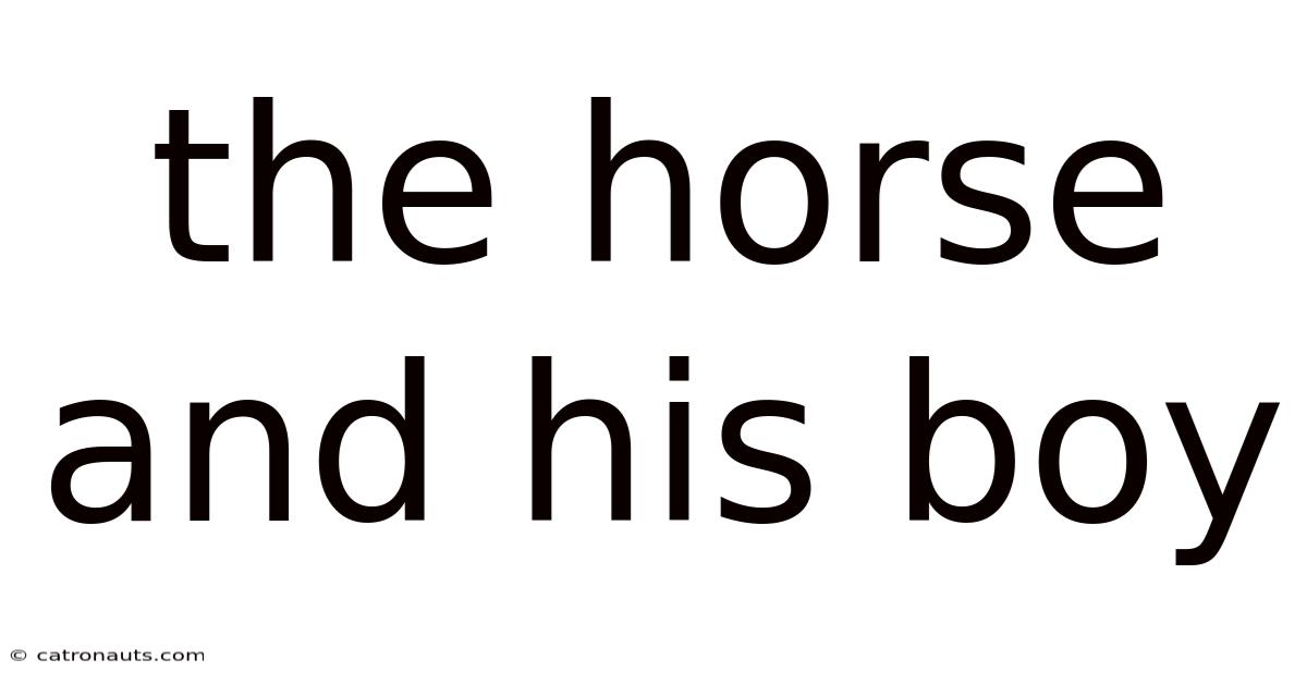 The Horse And His Boy