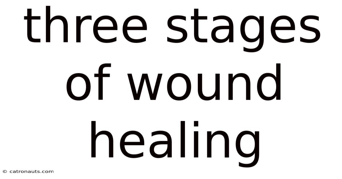 Three Stages Of Wound Healing