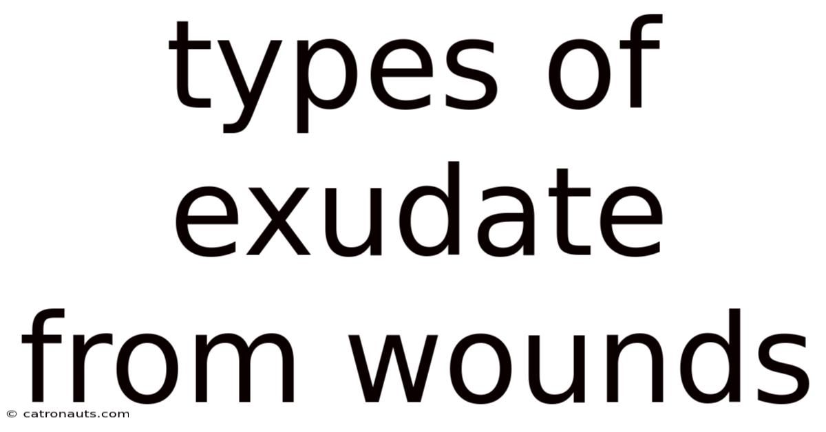 Types Of Exudate From Wounds