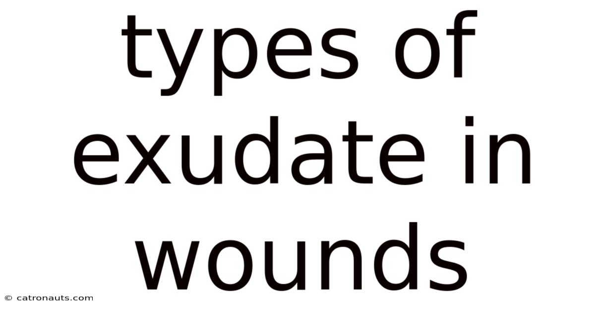 Types Of Exudate In Wounds
