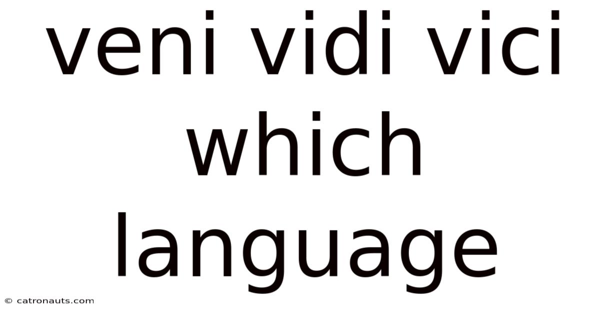 Veni Vidi Vici Which Language