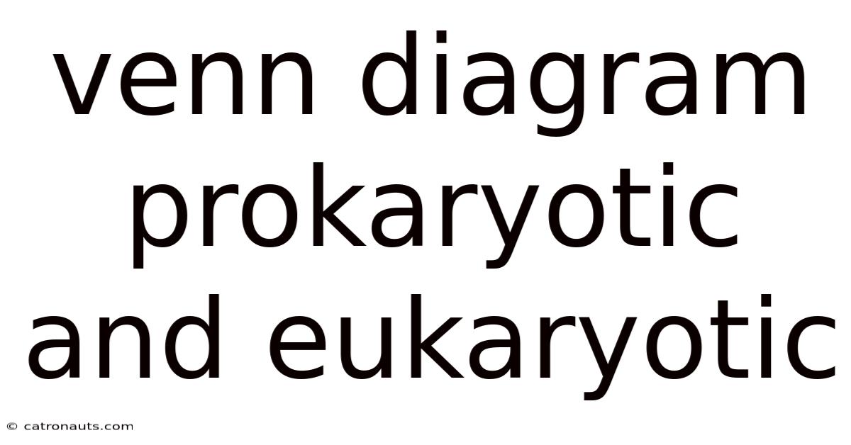 Venn Diagram Prokaryotic And Eukaryotic
