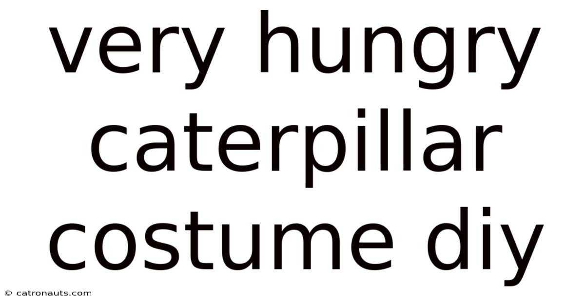 Very Hungry Caterpillar Costume Diy